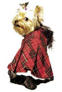 PETSLAND  SCOTTISH ELEGANCE XSMALL