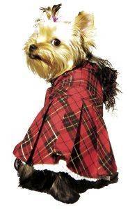 PETSLAND ΦΟΡΕΜΑ SCOTTISH ELEGANCE LARGE PETSLAND ΦΟΡΕΜΑ SCOTTISH ELEGANCE LARGE