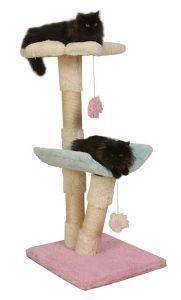 �������O��� KELLY