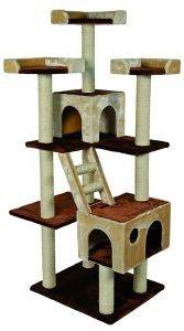 ���O��O��� NOBBY  ORLANDO ����/����