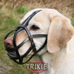 ΦΙΜΩΤΡΟ TRIXIE ΔΕΡΜΑΤΙΝΟ ΜΑΥΡΟ(LARGE) ΦΙΜΩΤΡΟ TRIXIE ΔΕΡΜΑΤΙΝΟ ΜΑΥΡΟ(LARGE)