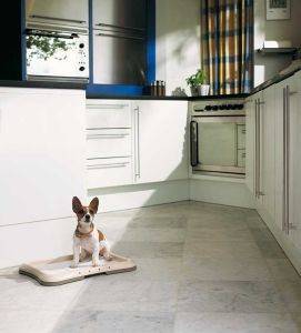 ������������ ��� ��������� ��� �������� ������