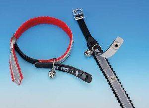 ΑΞΕΣΟΥAΡ ΠΕΡΙΛΑΙΜΙΟ ΓΑΤΑΣ ΜΕ ΤΑΥΤΟΤΗΤΑ ΑΞΕΣΟΥAΡ ΠΕΡΙΛΑΙΜΙΟ ΓΑΤΑΣ ΜΕ ΤΑΥΤΟΤΗΤΑ