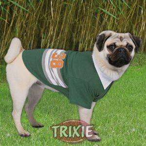 ΕΞΟΠΛΙΣΜΟΣ ΜΠΛΟΥΖΑ HARRY POLOSHIRT 35CM ΕΞΟΠΛΙΣΜΟΣ ΜΠΛΟΥΖΑ HARRY POLOSHIRT 35CM