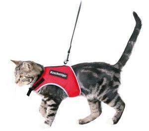 ΣΕΤ ΓΑΤΑΣ X-CAT ΜΕ ΑΥΤΟΚ/ΤΟ ΣΗΜΑ ΣΕΤ ΓΑΤΑΣ X-CAT ΜΕ ΑΥΤΟΚ/ΤΟ ΣΗΜΑ