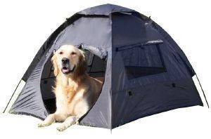 ����� ������ TRIXIE