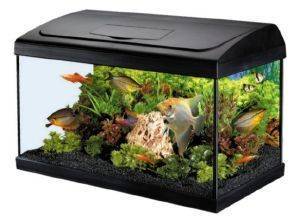 ΕΝΥΔΡΕΙΟ KIT SIRIUS 60CM-13W ΕΝΥΔΡΕΙΟ KIT SIRIUS 60CM-13W