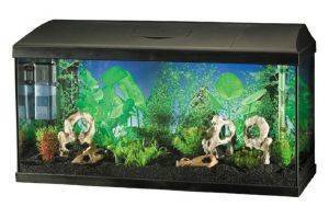 ��������  KIT SIRIUS 80CM-14W