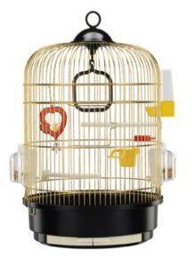 ������ ������ REGINA ����������