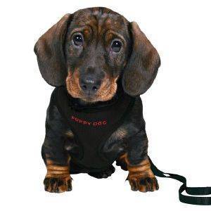 ΣΑΜΑΡΑΚΙ ΚΑΙ ΟΔΗΓΟΣ TRIXIE ΓΙΑ ΚΟΥΤΑΒΙΑ ΜΑΥΡΟΣ ΣΑΜΑΡΑΚΙ ΚΑΙ ΟΔΗΓΟΣ TRIXIE ΓΙΑ ΚΟΥΤΑΒΙΑ ΜΑΥΡΟΣ