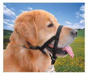 ������������� ������ EASY LEADER NOBBY (SIZE 4)