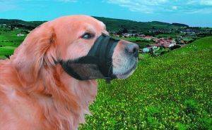 ������� CULPRET ������ �����  (SIZE 0)