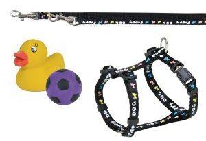 ΣΕΤ ΣΑΜΑΡΑΚΙ ΛΟΥΡΑΚΙ TRIXIE PUPPY HARNESS WITH LEAD AND DOYS ΣΕΤ ΣΑΜΑΡΑΚΙ ΛΟΥΡΑΚΙ TRIXIE PUPPY HARNESS WITH LEAD AND DOYS