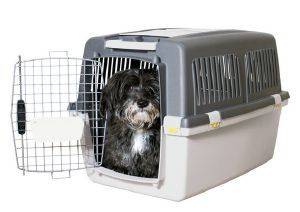   TRIXIE GULLIVER    525172CM