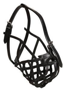 ������� ��� ������ ������ ��������� L