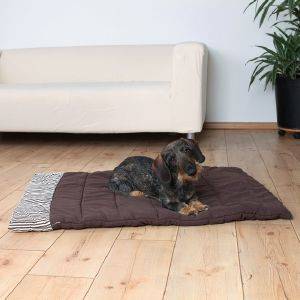 ������ TRIXIE RORY