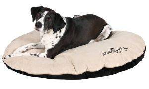 ������ TRIXIE KINGS OF DOGS