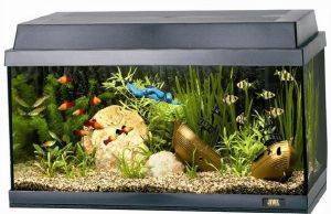ΕΝΥΔΡΕΙΟ JUWEL REKORD 600 ΜΑΥΡΟ (61X31X42CM) ΕΝΥΔΡΕΙΟ JUWEL REKORD 600 ΜΑΥΡΟ (61X31X42CM)