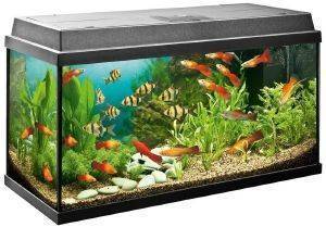 ΕΝΥΔΡΕΙΟ JUWEL REKORD 800 ΜΑΥΡΟ (81X36X45CM) ΕΝΥΔΡΕΙΟ JUWEL REKORD 800 ΜΑΥΡΟ (81X36X45CM)