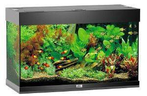 ΕΝΥΔΡΕΙΟ JUWEL RIO 125 ΜΑΥΡΟ (81X36X50CM) ΕΝΥΔΡΕΙΟ JUWEL RIO 125 ΜΑΥΡΟ (81X36X50CM)