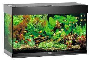 �������� JUWEL RIO 128 ����� (101X41X50CM)