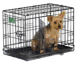 ΚΛΟΥΒΙ ΜΕΤΑΦΟΡΑΣ & ΕΚΑΠΙΔΕΥΣΗΣ MIDWEST ΜΕ 2 ΠΟΡΤΕΣ (56X33X41CM) ΚΛΟΥΒΙ ΜΕΤΑΦΟΡΑΣ & ΕΚΑΠΙΔΕΥΣΗΣ MIDWEST ΜΕ 2 ΠΟΡΤΕΣ (56X33X41CM)