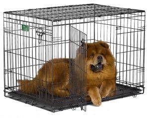 ΚΛΟΥΒΙ ΜΕΤΑΦΟΡΑΣ & ΕΚΑΠΙΔΕΥΣΗΣ MIDWEST ΜΕ 2 ΠΟΡΤΕΣ (91X58X64CM) ΚΛΟΥΒΙ ΜΕΤΑΦΟΡΑΣ & ΕΚΑΠΙΔΕΥΣΗΣ MIDWEST ΜΕ 2 ΠΟΡΤΕΣ (91X58X64CM)