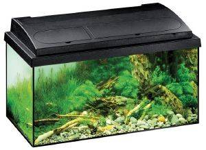 ΕΝΥΔΡΕΙΟ EHEIM AQUASTAR 54LT ΜΑΥΡΟ 60X30X30CM ΕΝΥΔΡΕΙΟ EHEIM AQUASTAR 54LT ΜΑΥΡΟ 60X30X30CM