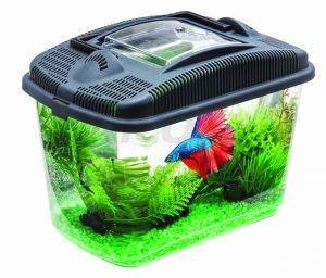 AQUAEL ΚΛΟΥΒΙ ΜΕΤΑΦΟΡΑΣ AQUAEL BETTA KIT 23.7X15.4X17.3CM