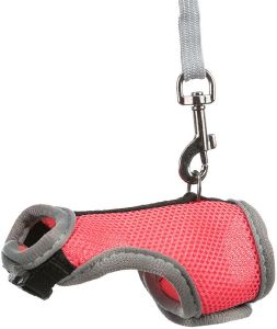 ΣΑΜΑΡΑΚΙ MΜΕ ΛΟΥΡΙ TRIXIE ΓΙΑ ΠΟΝΤΙΚΙ ΚΟΡΑΛΙ (12-18CM) ΣΑΜΑΡΑΚΙ MΜΕ ΛΟΥΡΙ TRIXIE ΓΙΑ ΠΟΝΤΙΚΙ ΚΟΡΑΛΙ (12-18CM)