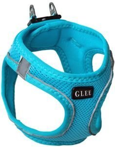 GLEE ΣΑΜΑΡΑΚΙ GLEE JOY ΜΠΛΕ (2XS)