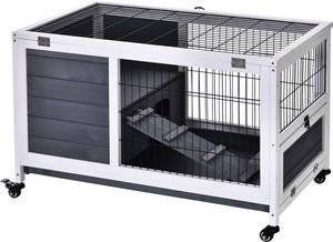 ������ ��������� PAWHUT ������ �����-����