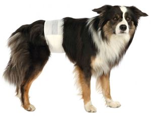 ����� TRIXIE ��� ���������� �������