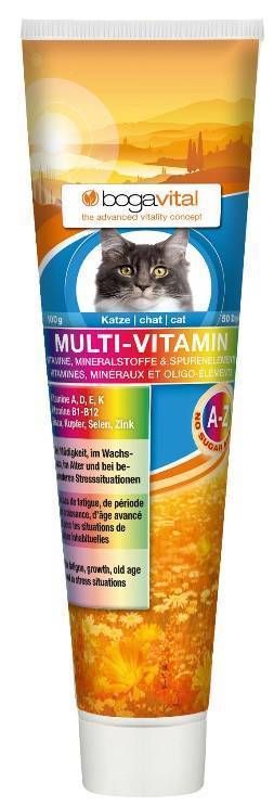 BOGAR ΣΥΜΠΛΗΡΩΜΑ BOGAR VITAL MULTI VITAMIN 100GR