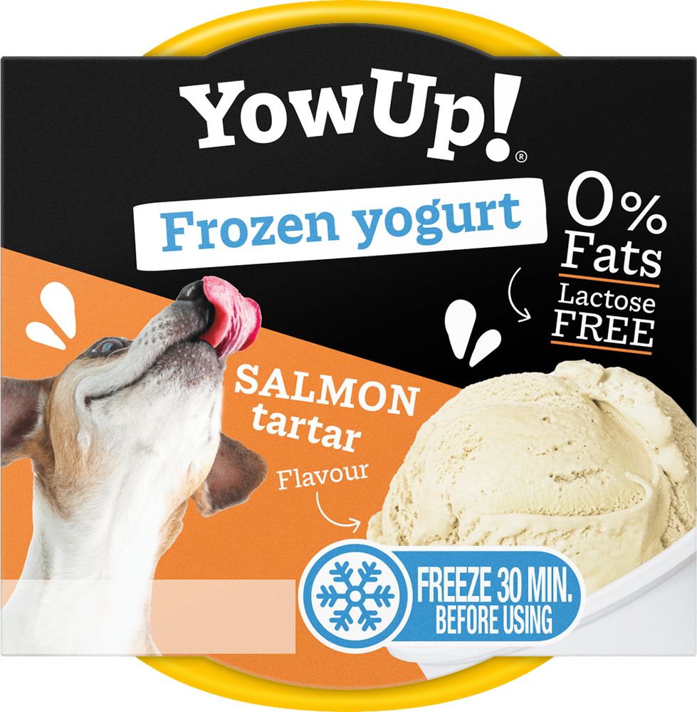 YOW UP ΠΑΓΩΤΟ YOW UP ΣΟΛΟΜΟΣ TARTAR 110GR