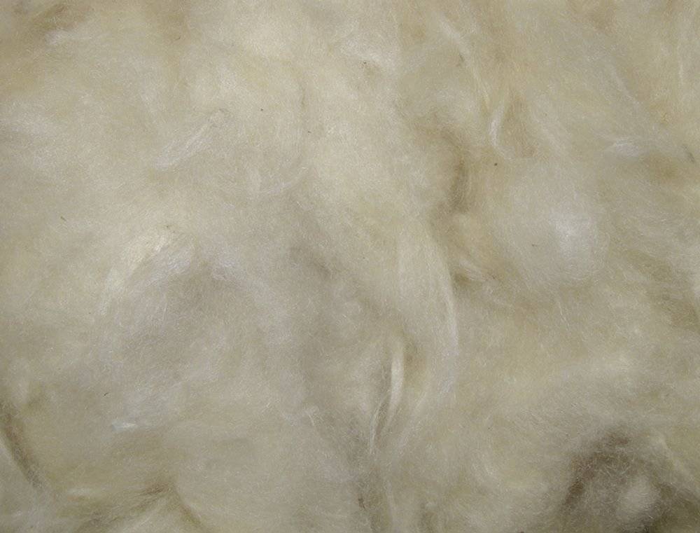ΜΑΛΛΙ ΤΡΩΚΤΙΚΩΝ NOBBY KAPOK (50GR)
