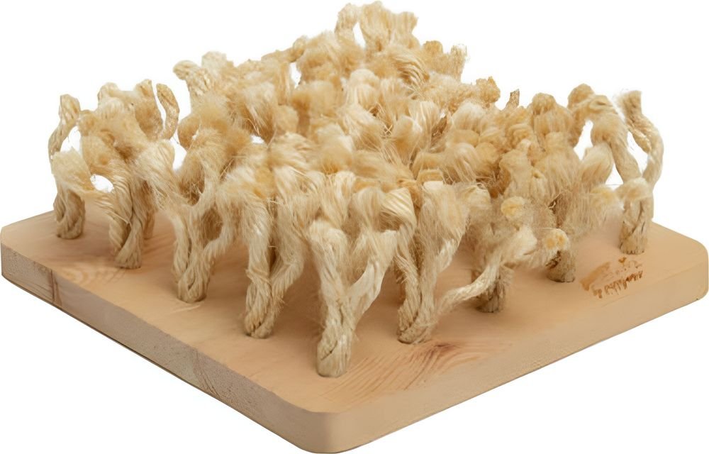 BUNNY NATURE ΠΑΙΧΝΙΔΙ ΤΡΩΚΤΙΚΩΝ BUNNY NATURE SNUFFLEBOARD ΔΙΑΔΡΑΣΤΙΚΟ (24,2X9X24,2CM)