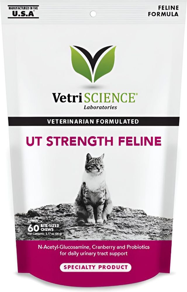 VET EXPERT ΣΥΜΠΛΗΡΩΜΑ ΔΙΑΤΡΟΦΗΣ VETRISCIENCE UT STRENGTH FELINE (60ΤΜΧ)