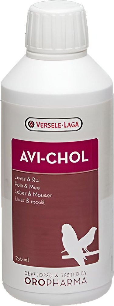 VERSELE-LAGA ΣΥΜΠΛΗΡΩΜΑ ΔΙΑΤΡΟΦΗΣ VERSELE LAGA AVI CHOL (250ML)