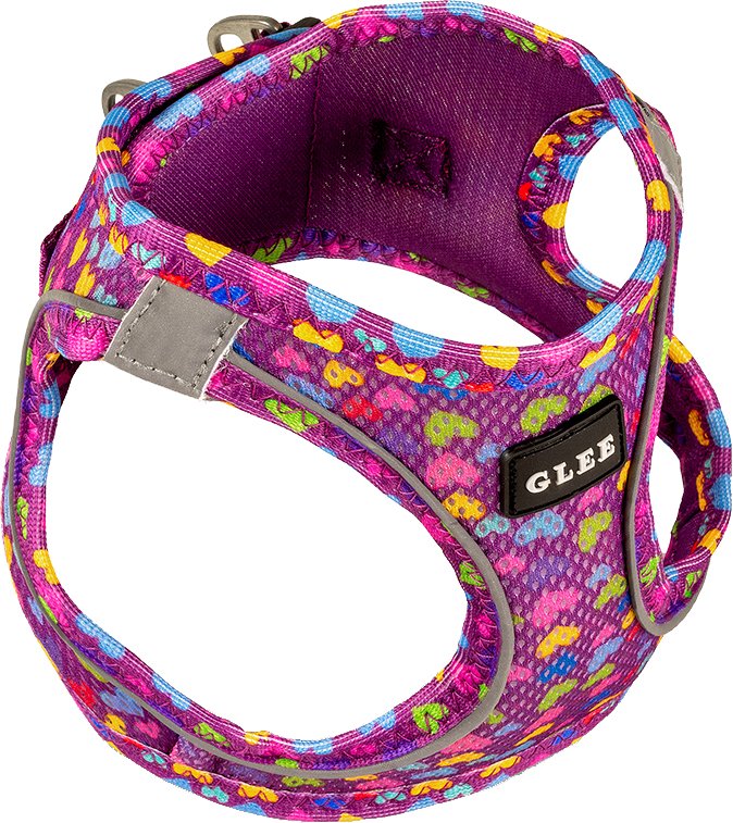 GLEE ΣΑΜΑΡΑΚΙ GLEE HEARTS PURPLE (XS)