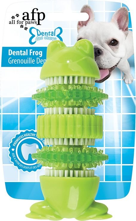 GREENFIELDS ΜΑΣΗΤΙΚΟ ΠΑΙΧΝΙΔΙ AFP CHEW DENTAL FROG