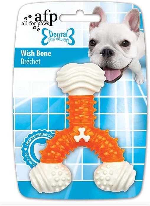 GREENFIELDS ΜΑΣΗΤΙΚΟ ΠΑΙΧΝΙΔΙ AFP DENTAL WISH BONE (12,5X12X3CM)
