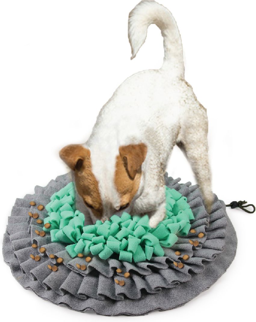 AFP ΠΑΙΧΝΙΔΙ ΣΚΥΛΟΥ AFP DIG IT TREAT MAT (48X48X5CM)
