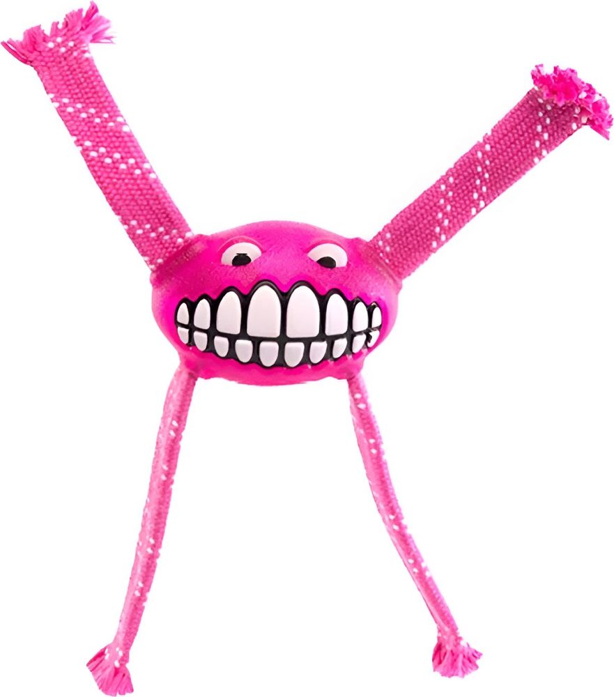 ROGZ ΠΑΙΧΝΙΔΙ ΣΚΥΛΟΥ ROGZ FLOSSY GRINZ ΡΟΖ (16,5CM)