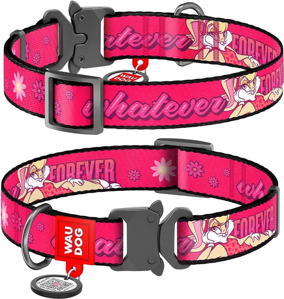 ΠΕΡΙΛΑΙΜΙΟ WAUDOG LOONEY 6 METAL FASTEX (25MM / 31-49CM)