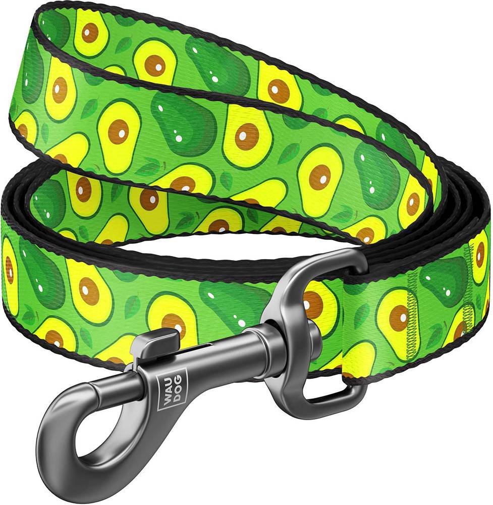 ΛΟΥΡΑΚΙ WAUDOG AVOCADO (20MM X 122CM)