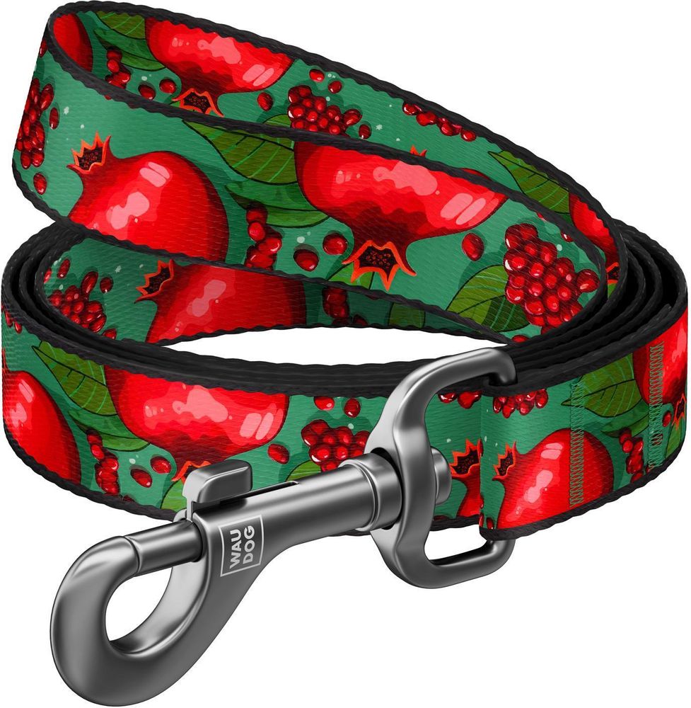 ΛΟΥΡΑΚΙ WAUDOG POMEGRANATE (20MM X 122CM)
