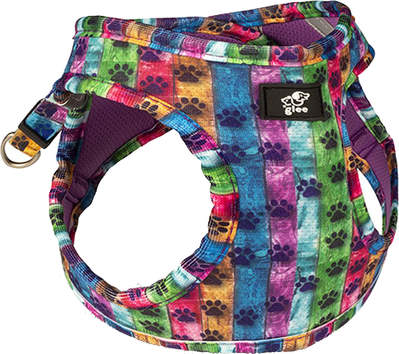 ΣΑΜΑΡΑΚΙ GLEE PLATINUM ΤΥΠΟΥ STEP IN PAW GARDEN (SMALL 32-36CM)