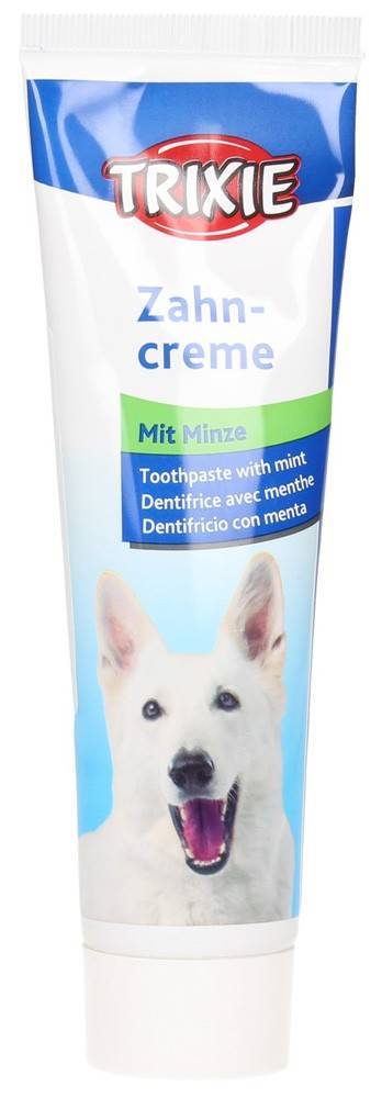 TRIXIE ΟΔΟΝΤΟΚΡΕΜΑ TRIXIE ΜΕ ΓΕΥΣΗ ΜΕΝΤΑΣ (100 GR)
