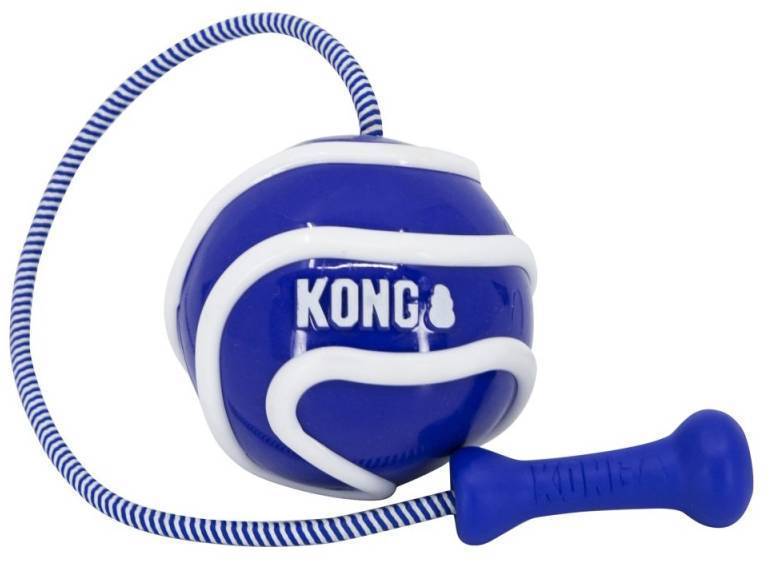 ΠΑΙΧΝΙΔΙ ΣΚΥΛΟΥ KONG WAVZ BUNJIBALL ΜΠΛΕ MD